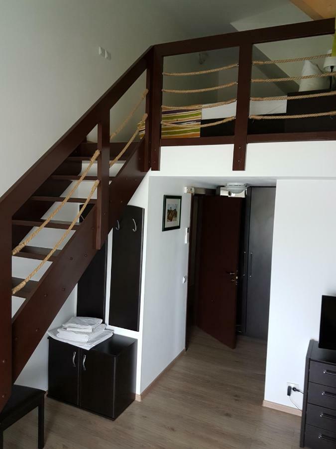 Pensiunea Pescarul Vanator Delta Dunarii Crisan  Exterior foto